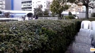 朝颜值女神反差白富美性爱旅行日记